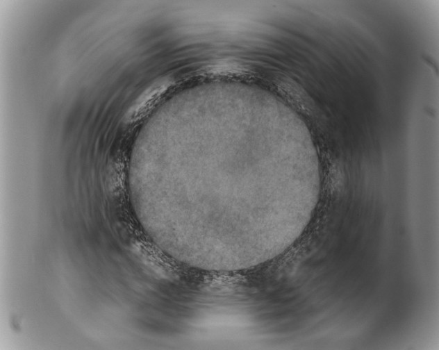 X0000099570824200806131254