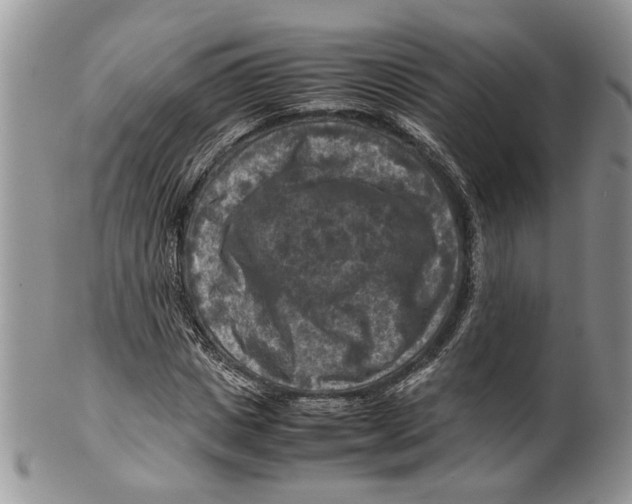 X0000099570825200806131254