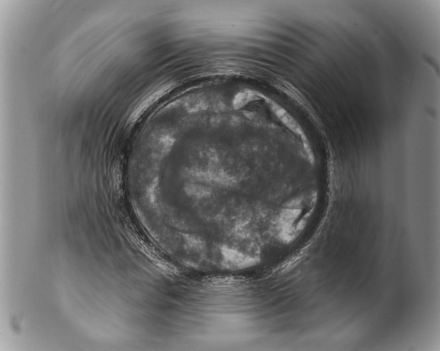 X0000099570826200806131254