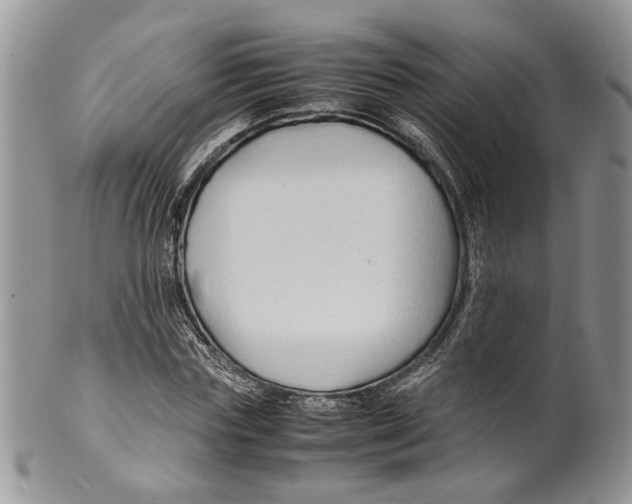 X0000099570827200806131254