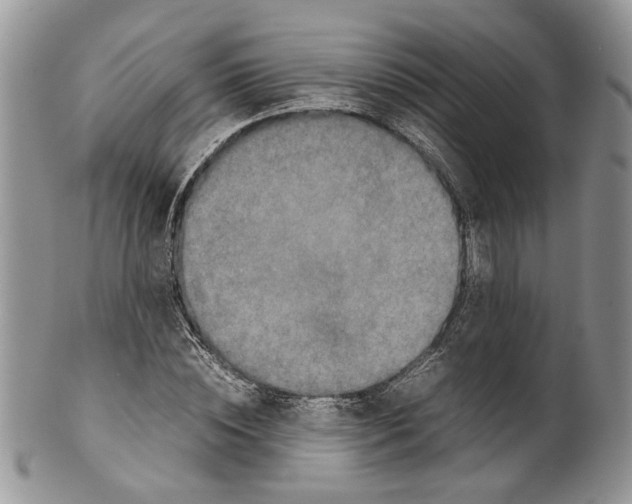 X0000099570828200806131254