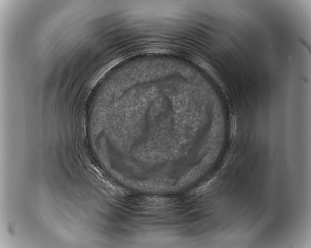 X0000099570829200806131254