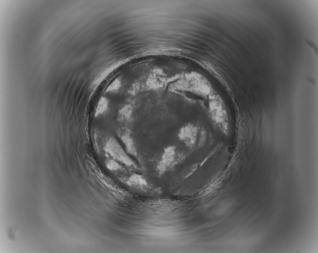 X0000099570830200806131254