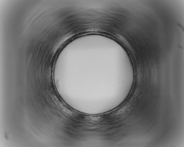 X0000099570831200806131254