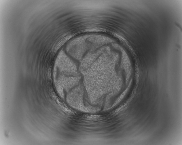 X0000099570833200806131254