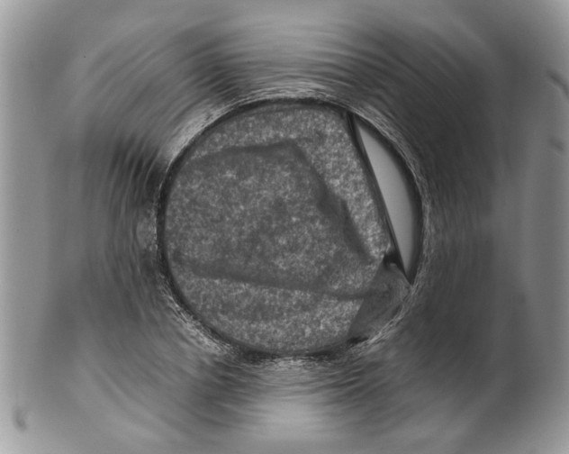 X0000099570834200806131254