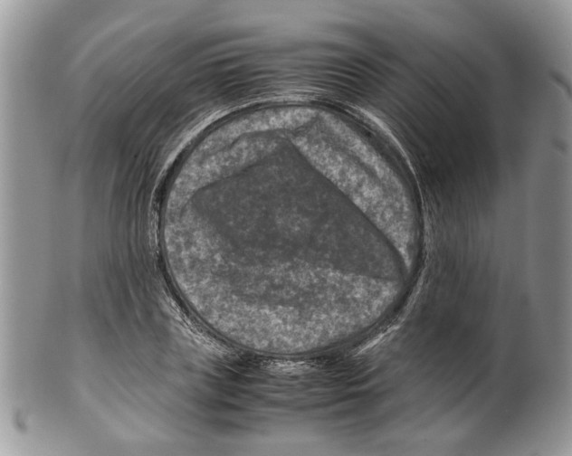 X0000099570835200806131254