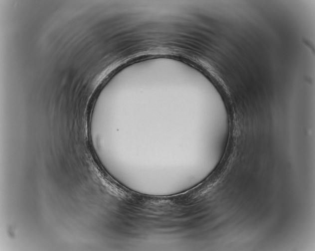 X0000099570837200806131254