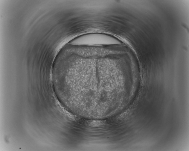 X0000099570839200806131254