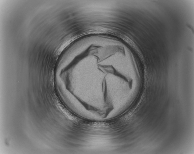 X0000099570842200806131254