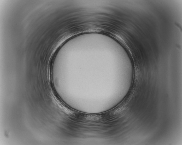 X0000099570843200806131254