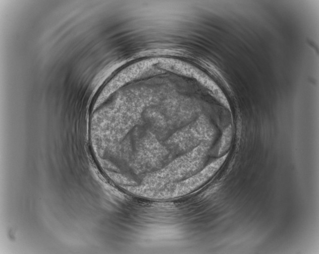 X0000099570844200806131254