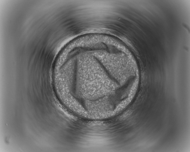 X0000099570846200806131254