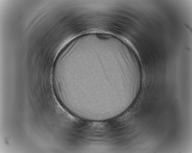X0000099570847200806131255
