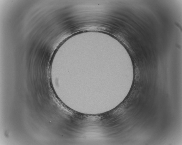 X0000099570848200806131255