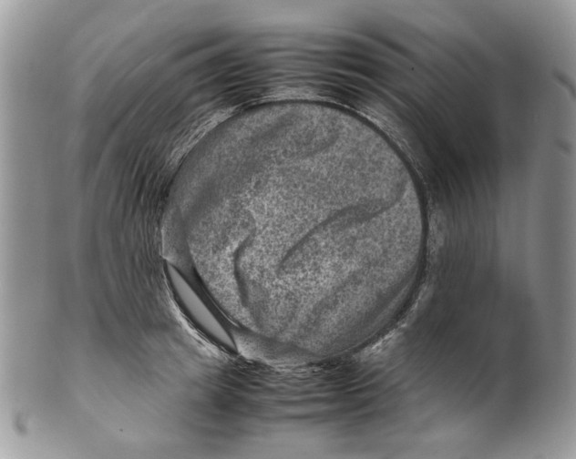 X0000099570849200806131255