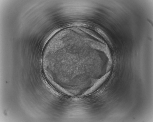 X0000099570852200806131255