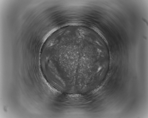 X0000099570853200806131255