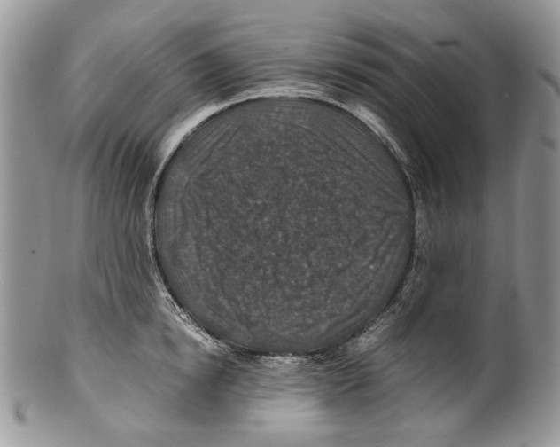 X0000099570854200806131255