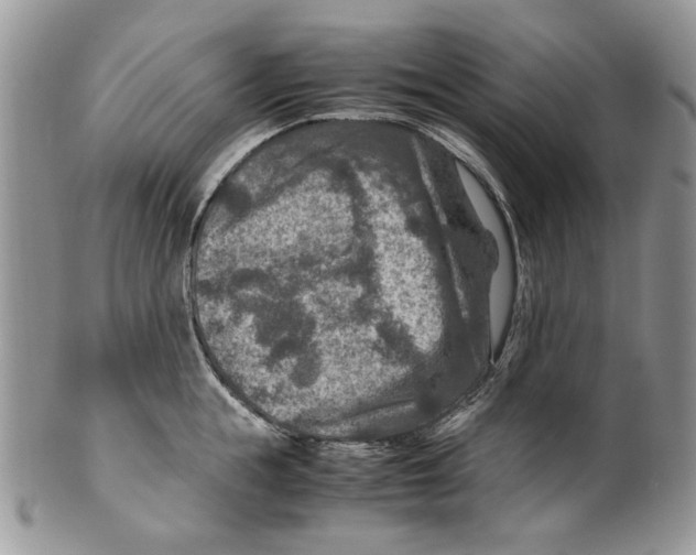X0000099570855200806131255