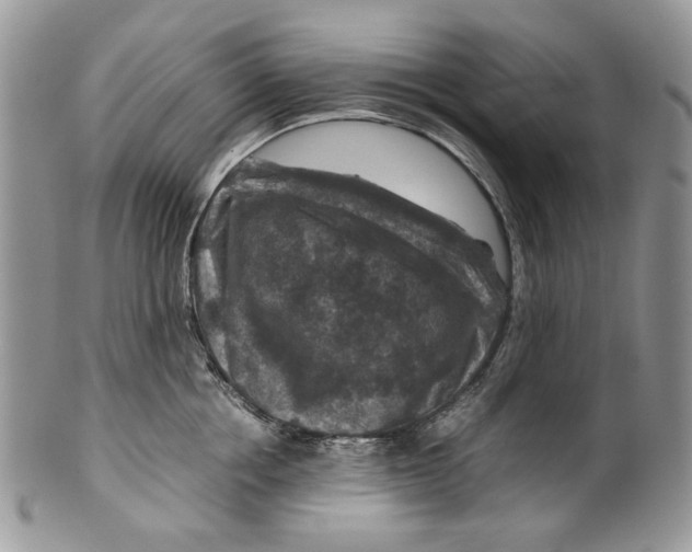 X0000099570858200806131255