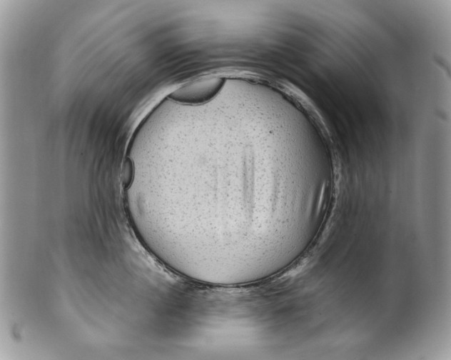 X0000099570860200806131255