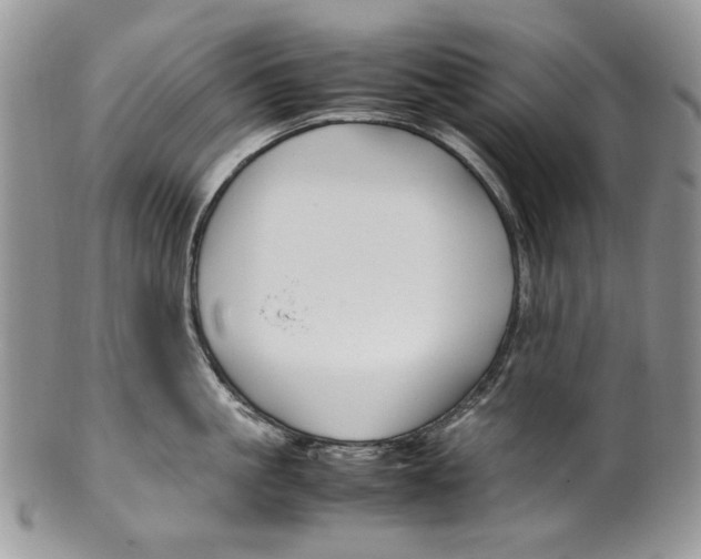 X0000099570861200806131255