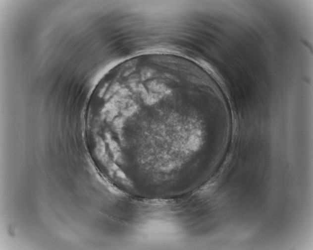 X0000099570862200806131255