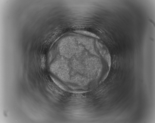 X0000099570866200806131254