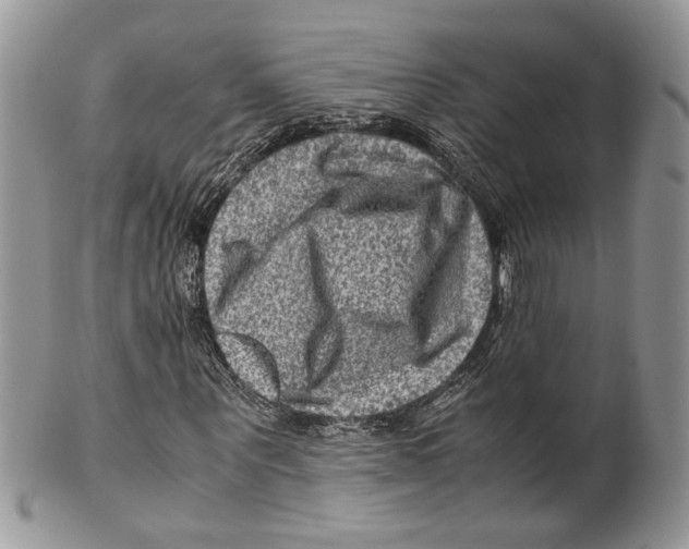 X0000099570867200806131254