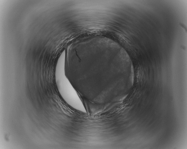 X0000099570868200806131254