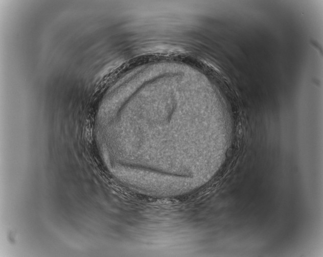 X0000099570869200806131254