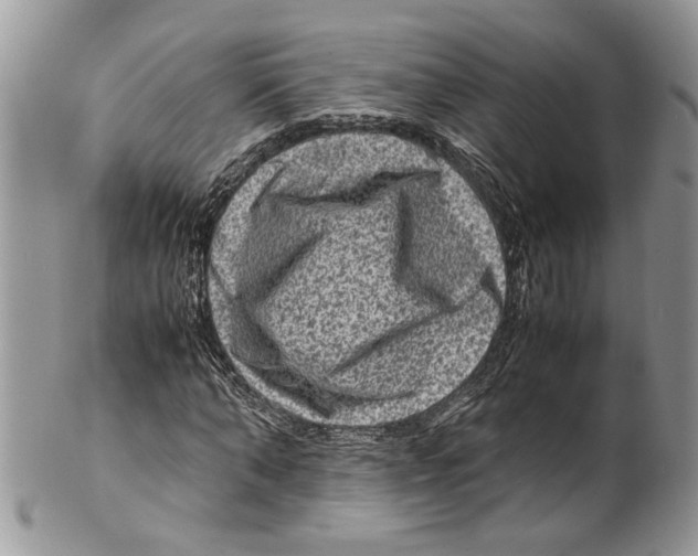 X0000099570870200806131254
