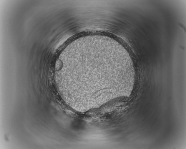 X0000099570871200806131254