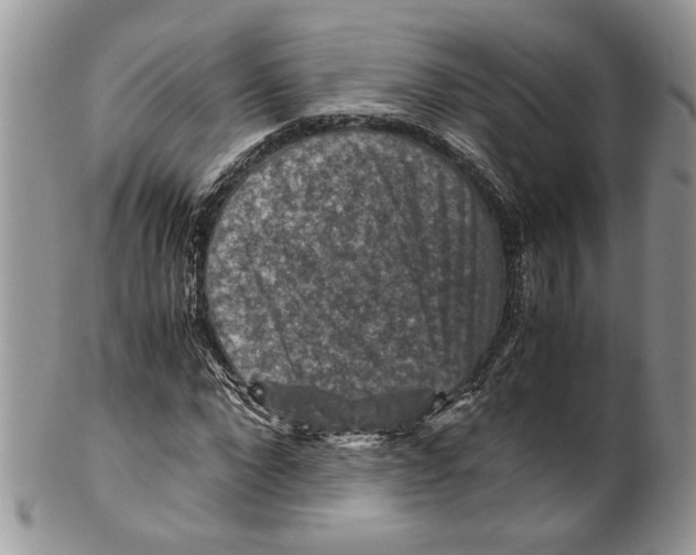 X0000099570872200806131254