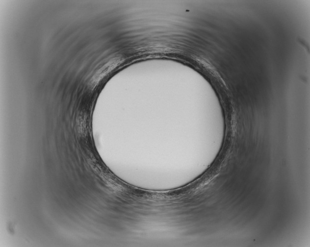 X0000099570873200806131254