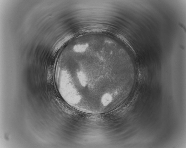 X0000099570874200806131254