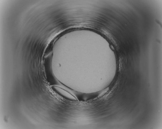 X0000099570876200806131254