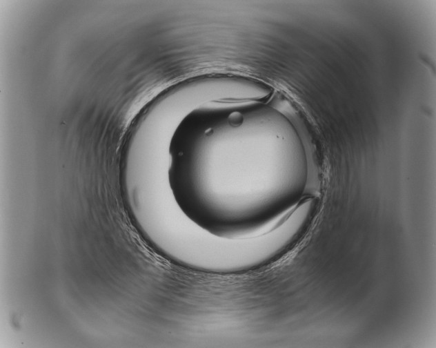 X0000099570877200806131254