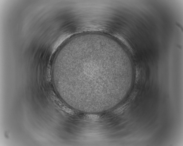 X0000099570878200806131254