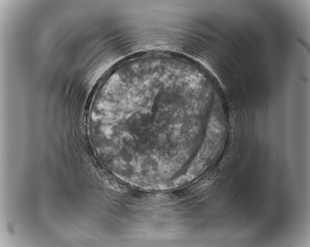 X0000099570879200806131254