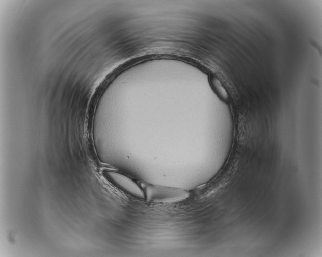 X0000099570880200806131254