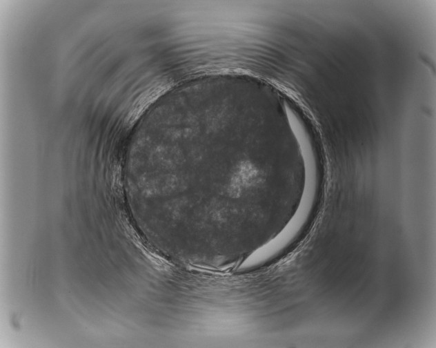 X0000099570881200806131254