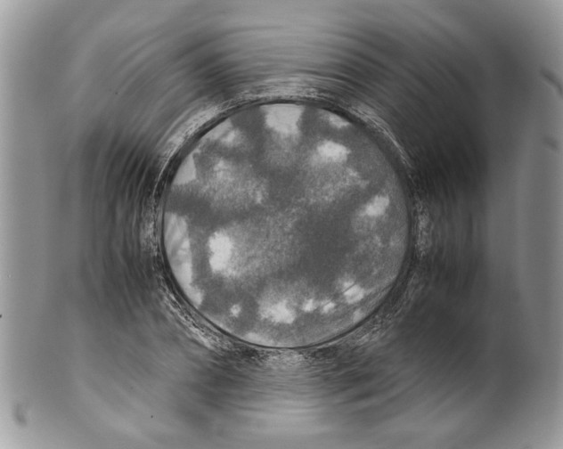 X0000099570882200806131254