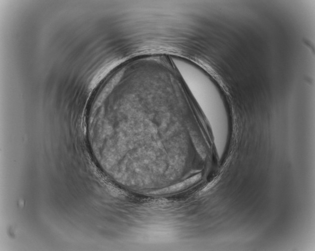 X0000099570885200806131254