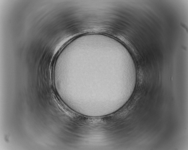 X0000099570886200806131254