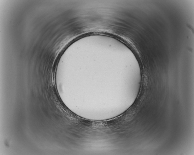 X0000099570887200806131254