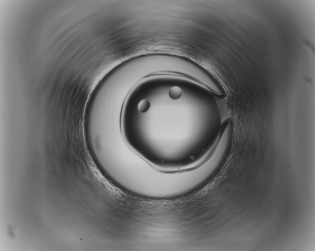 X0000099570888200806131254