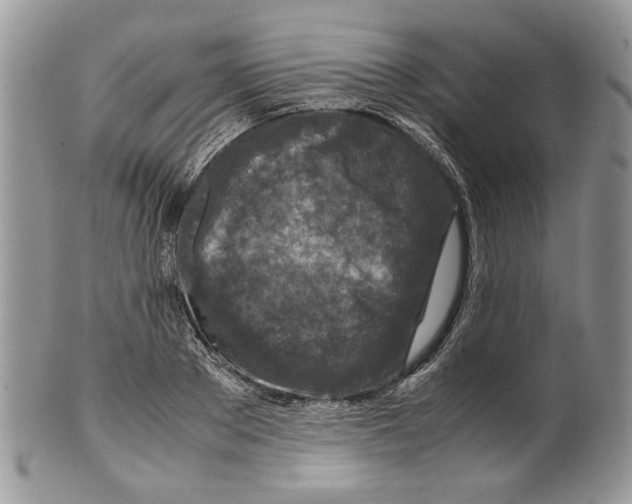 X0000099570889200806131254