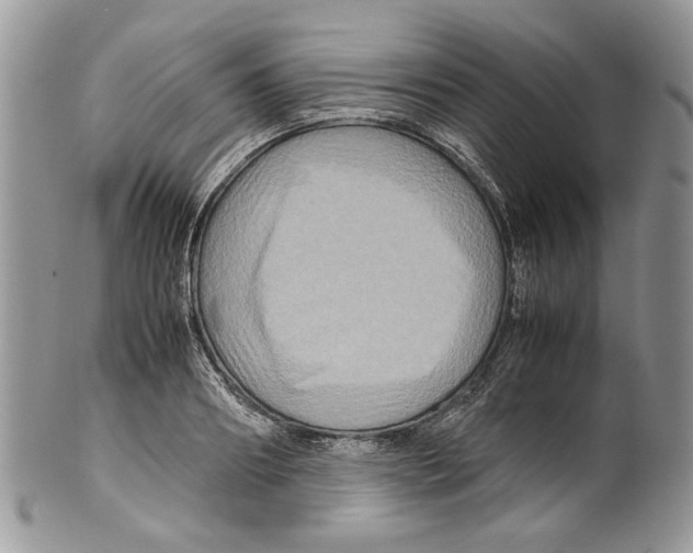 X0000099570890200806131254